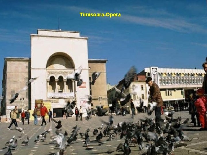 Timisoara-Opera 