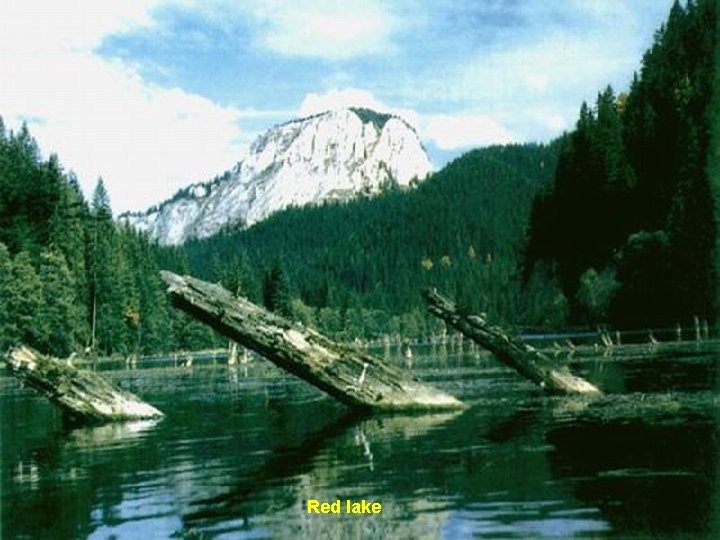 Red lake 