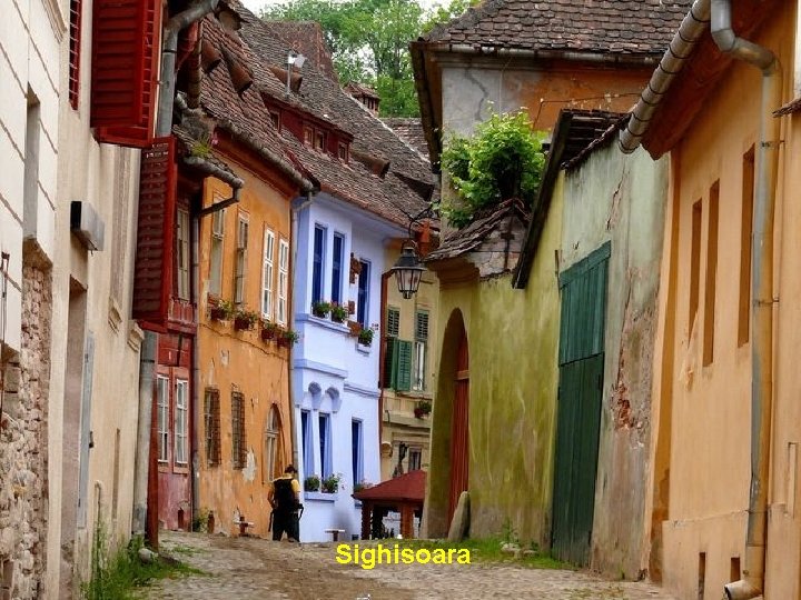 Sighisoara 