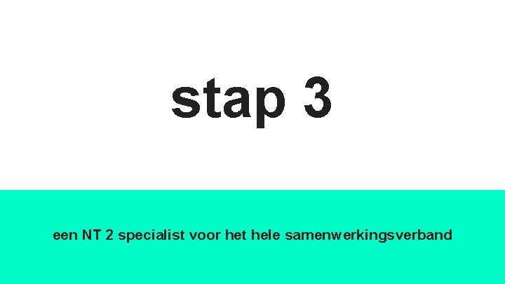 stap 3 een NT 2 specialist voor het hele samenwerkingsverband 