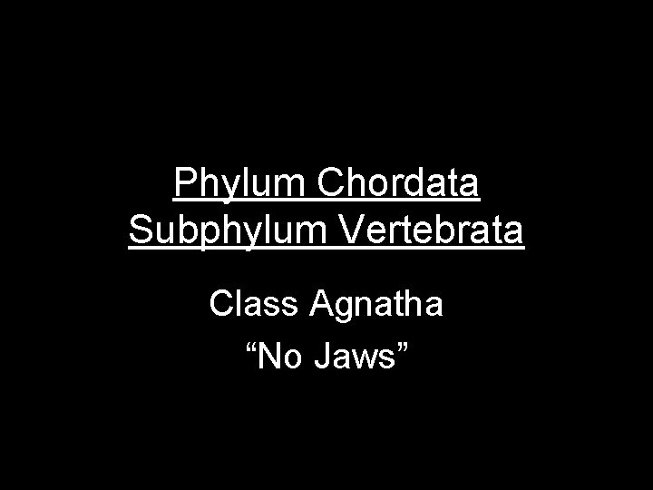 Phylum Chordata Subphylum Vertebrata Class Agnatha “No Jaws” 