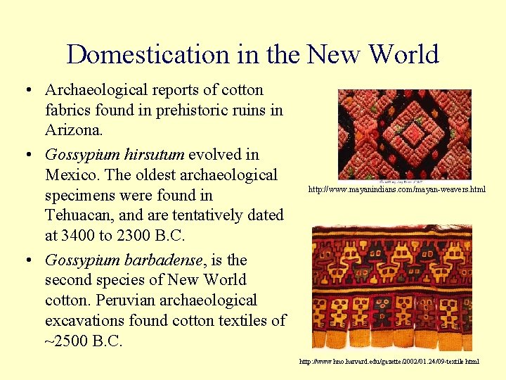 Domestication in the New World • Archaeological reports of cotton fabrics found in prehistoric