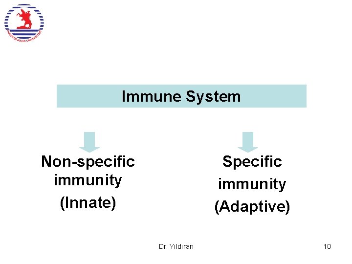 Immune System Non-specific immunity (Innate) Specific immunity (Adaptive) Dr. Yıldıran 10 