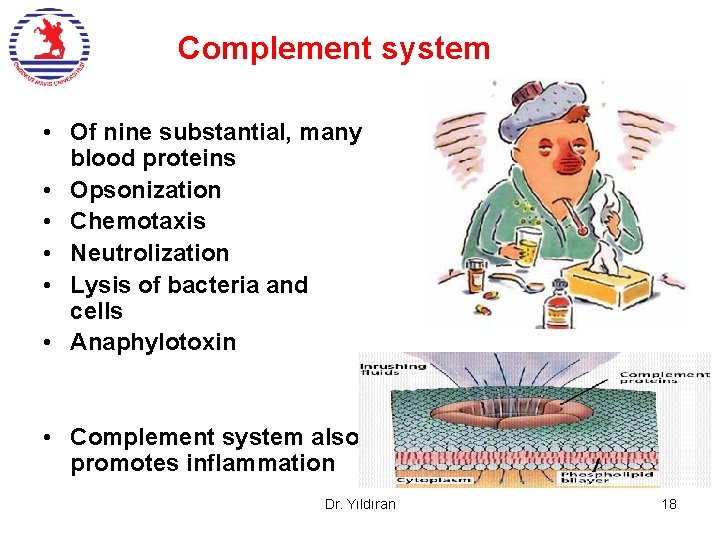 Complement system • Of nine substantial, many blood proteins • Opsonization • Chemotaxis •