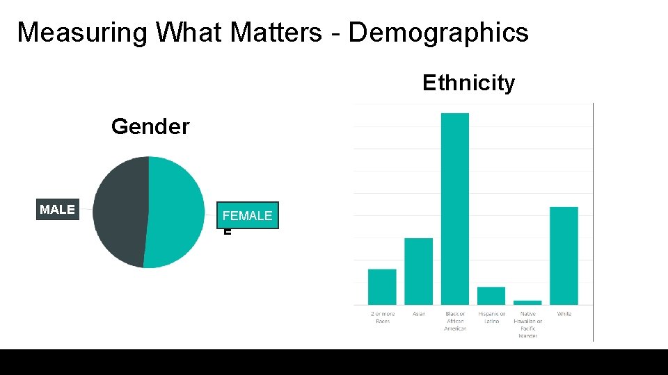 Measuring What Matters - Demographics Ethnicity Gender MALE FEMALE E 5 