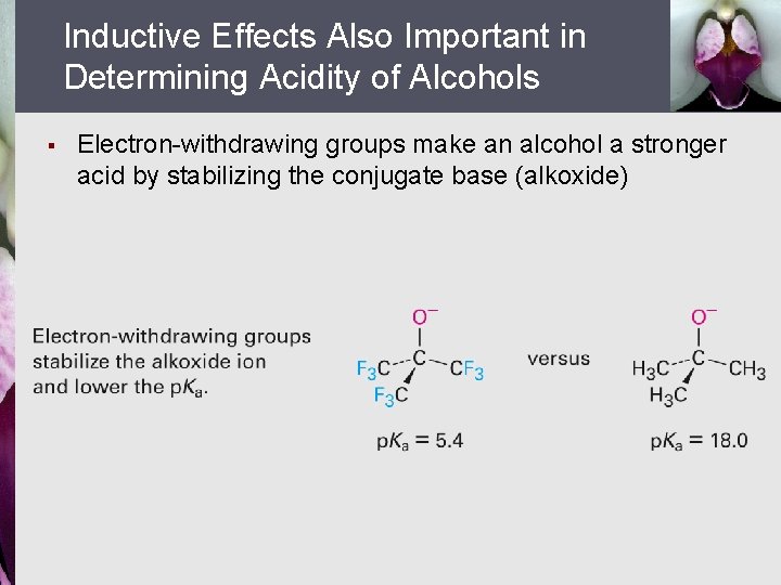 Inductive Effects Also Important in Determining Acidity of Alcohols § Electron-withdrawing groups make an