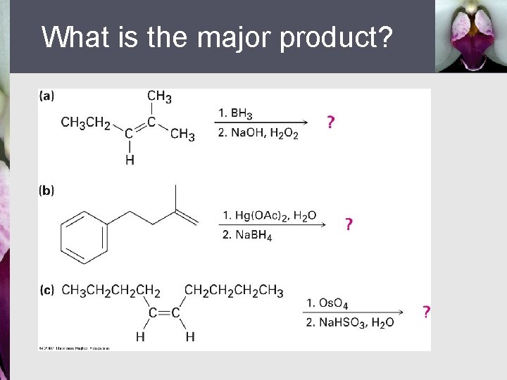 What is the major product? 