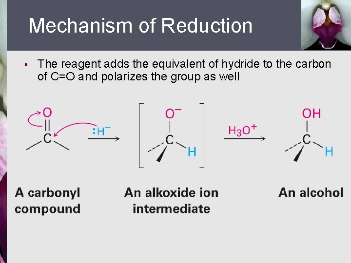 Mechanism of Reduction § The reagent adds the equivalent of hydride to the carbon