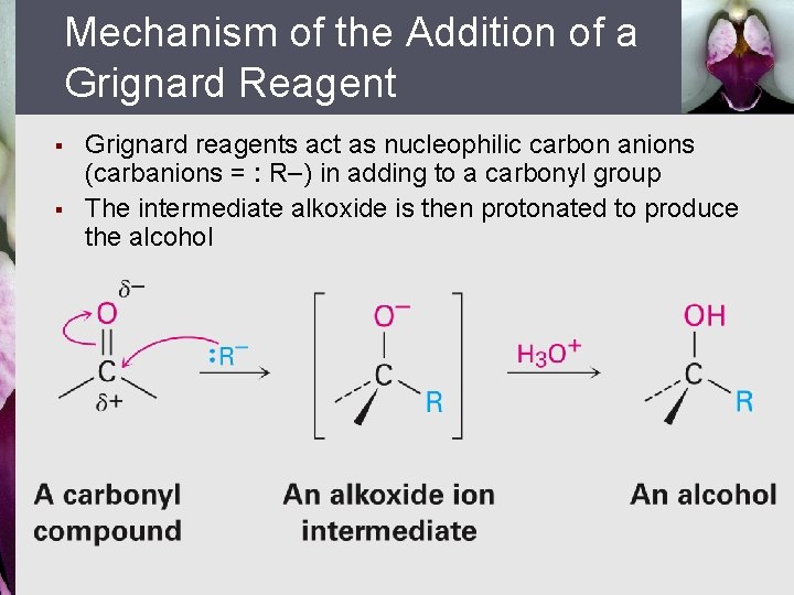 Mechanism of the Addition of a Grignard Reagent § § Grignard reagents act as
