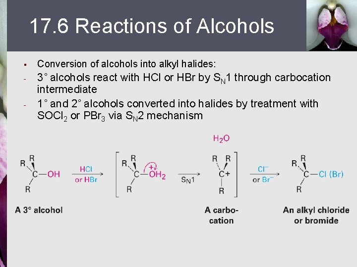 17. 6 Reactions of Alcohols § Conversion of alcohols into alkyl halides: - 3˚