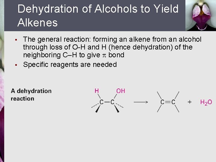 Dehydration of Alcohols to Yield Alkenes § § The general reaction: forming an alkene