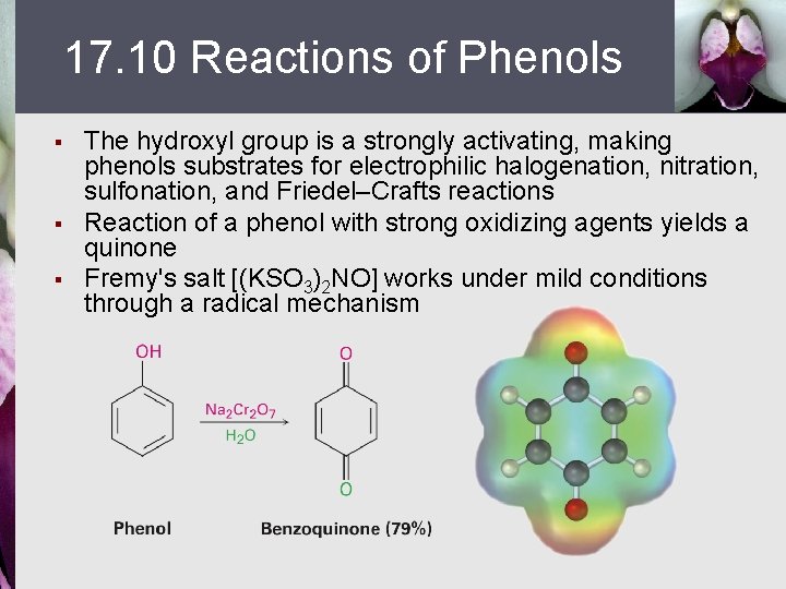 17. 10 Reactions of Phenols § § § The hydroxyl group is a strongly
