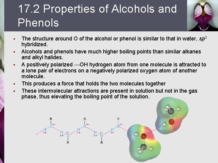 17. 2 Properties of Alcohols and Phenols § § § The structure around O