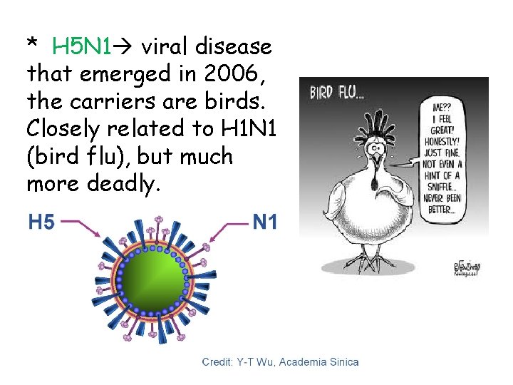 * H 5 N 1 viral disease that emerged in 2006, the carriers are