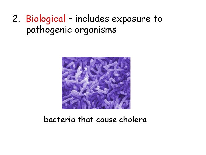 2. Biological – includes exposure to pathogenic organisms bacteria that cause cholera 