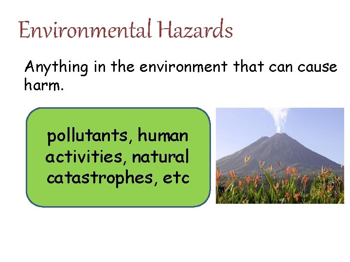 Environmental Hazards Anything in the environment that can cause harm. pollutants, human activities, natural