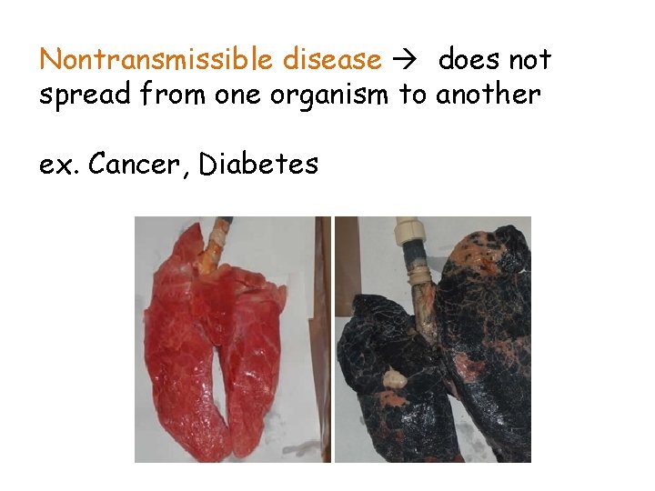 Nontransmissible disease does not spread from one organism to another ex. Cancer, Diabetes 