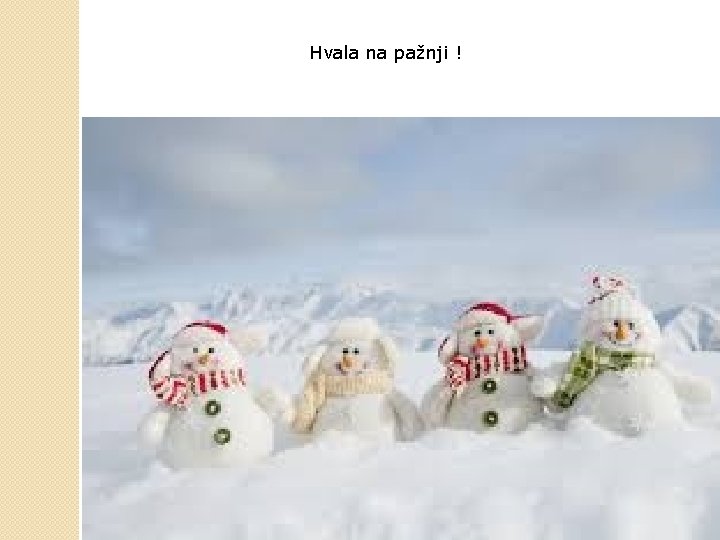 Hvala na pažnji ! 