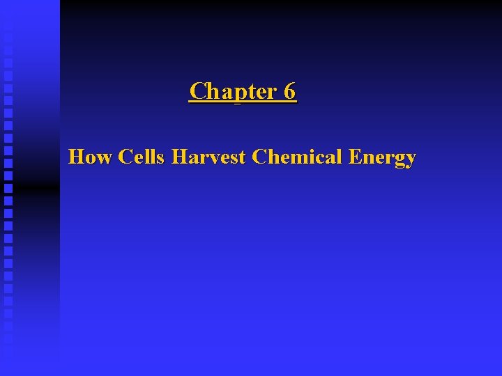 Chapter 6 How Cells Harvest Chemical Energy 