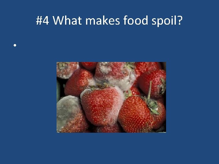 #4 What makes food spoil? • 