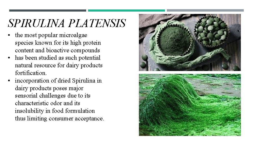 SPIRULINA PLATENSIS • the most popular microalgae species known for its high protein content