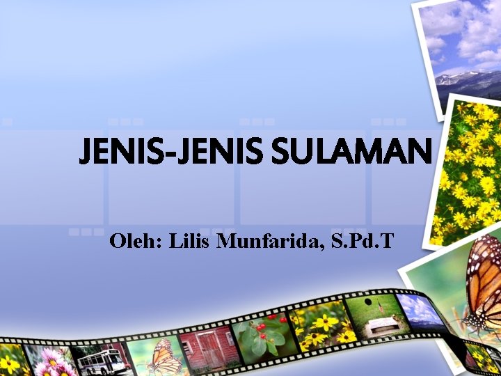 JENIS-JENIS SULAMAN Oleh: Lilis Munfarida, S. Pd. T 