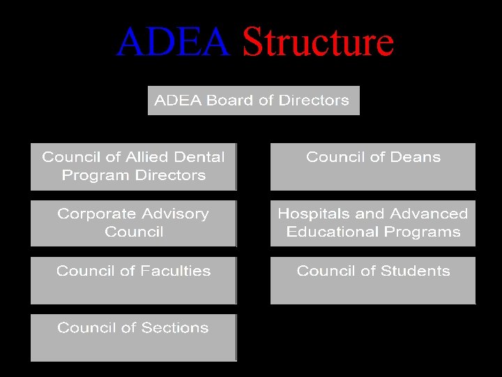 ADEA Structure 