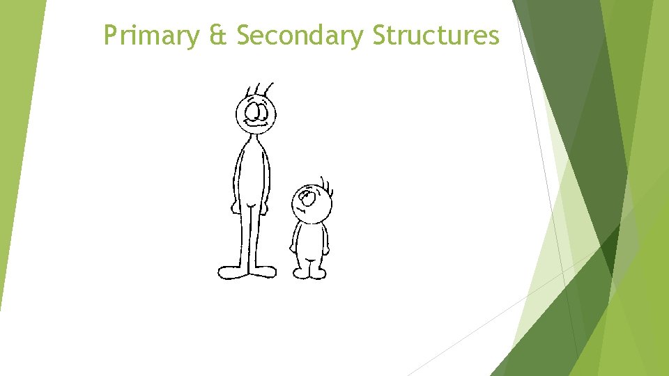 Primary & Secondary Structures 