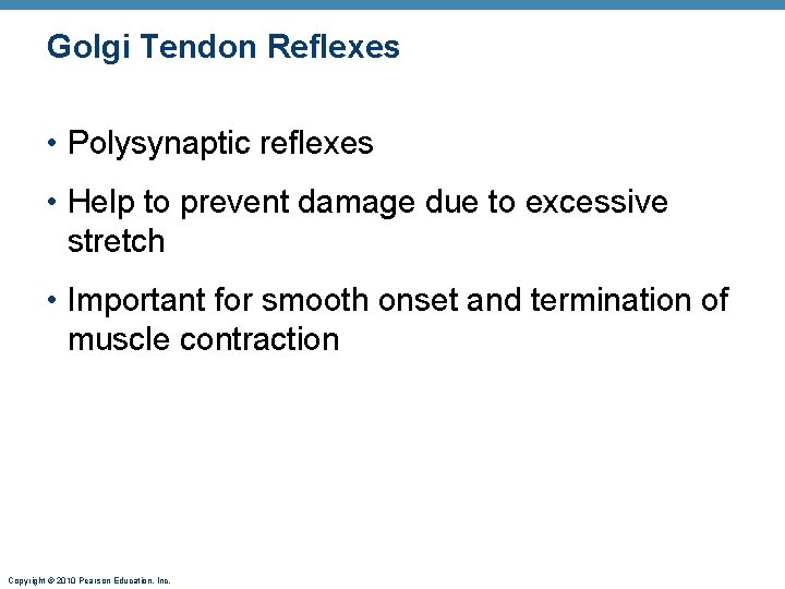 Golgi Tendon Reflexes • Polysynaptic reflexes • Help to prevent damage due to excessive