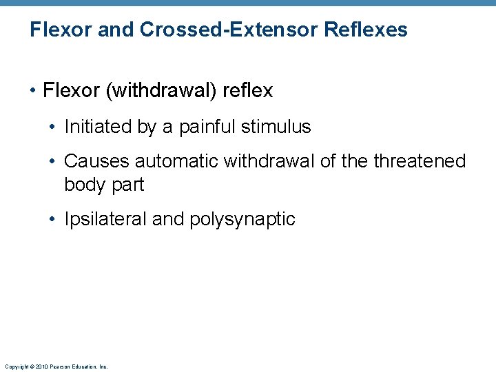 Flexor and Crossed-Extensor Reflexes • Flexor (withdrawal) reflex • Initiated by a painful stimulus