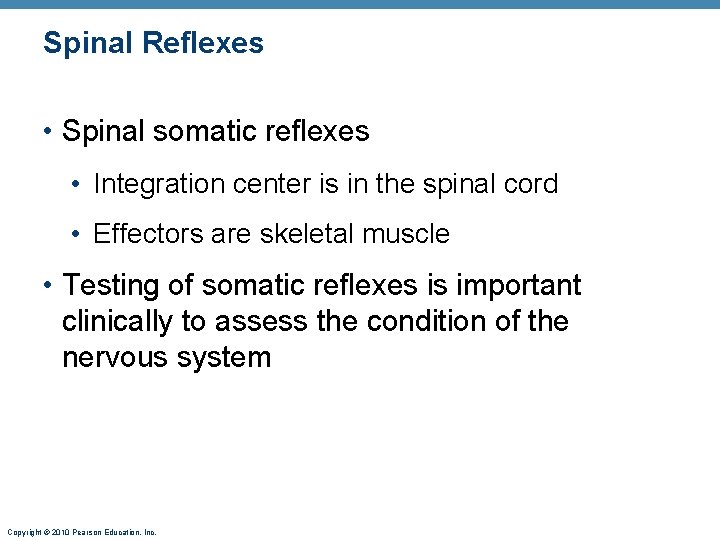 Spinal Reflexes • Spinal somatic reflexes • Integration center is in the spinal cord