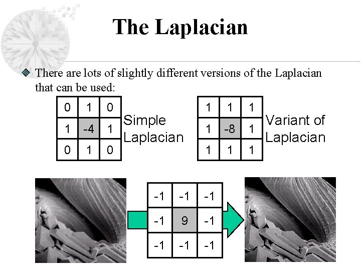 The Laplacian There are lots of slightly different versions of the Laplacian that can