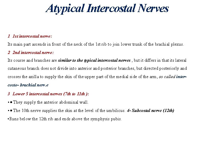 Atypical Intercostal Nerves 1 1 st intercostal nerve: Its main part ascends in front