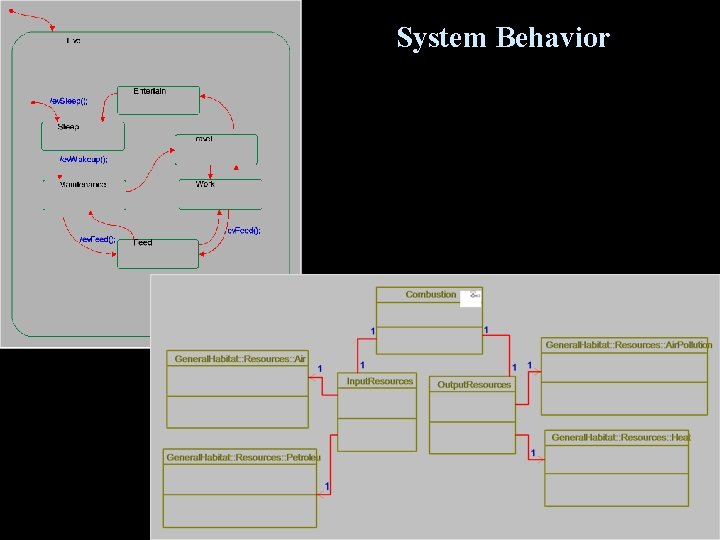 System Behavior 