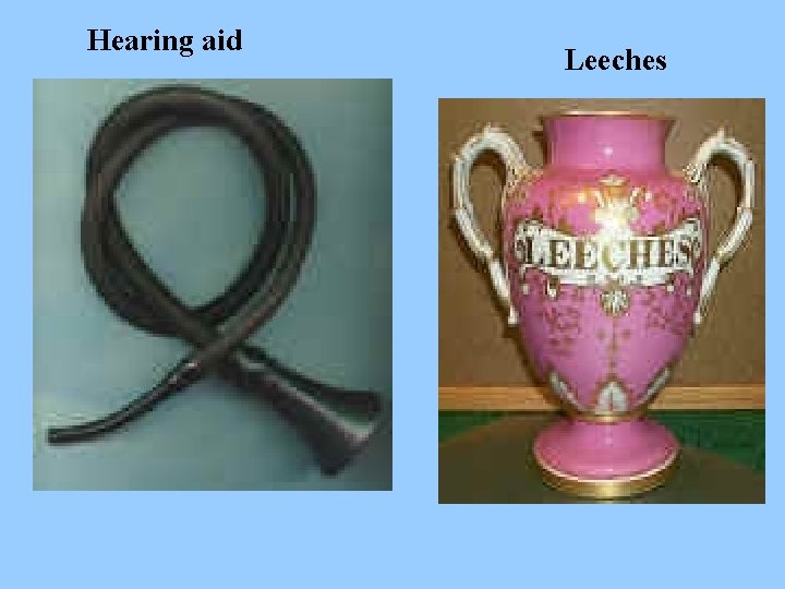 Hearing aid Leeches 