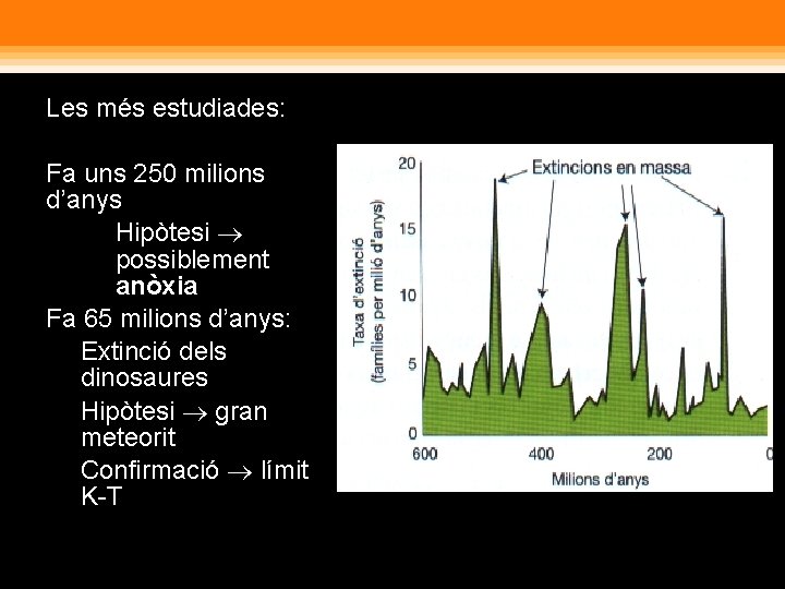  Les més estudiades: • Fa uns 250 milions d’anys • Hipòtesi possiblement anòxia