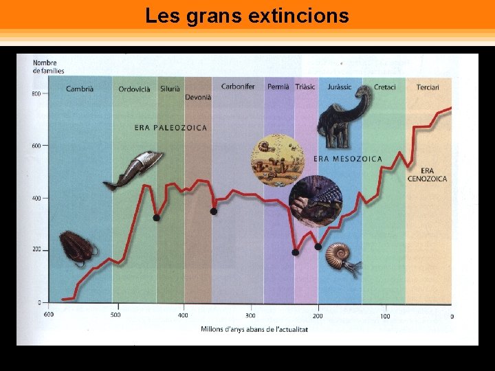 Les grans extincions 