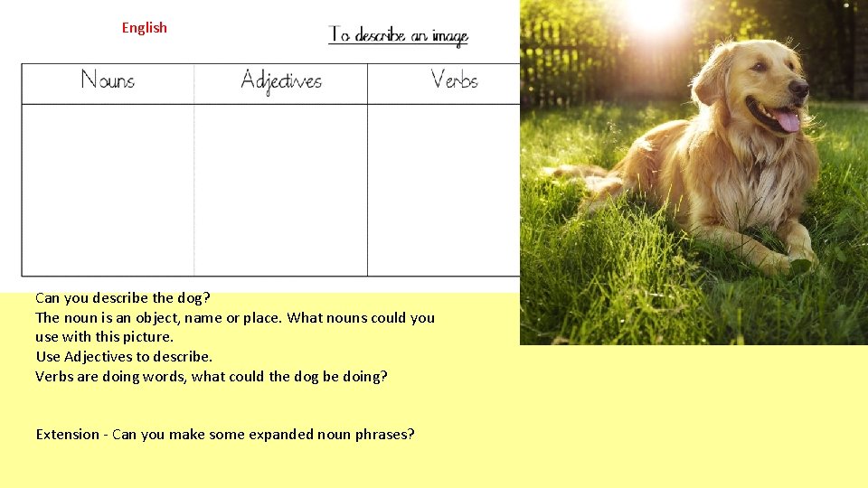 English Can you describe the dog? The noun is an object, name or place.