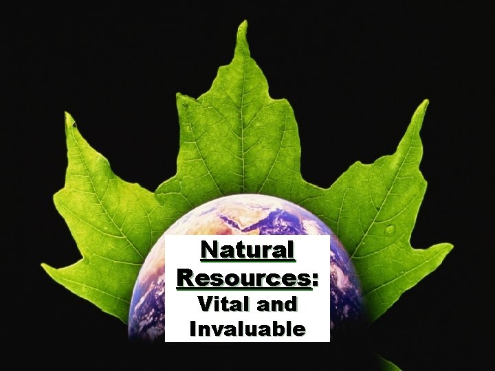 Natural Resources: Vital and Invaluable © 2009 abcteach. com 