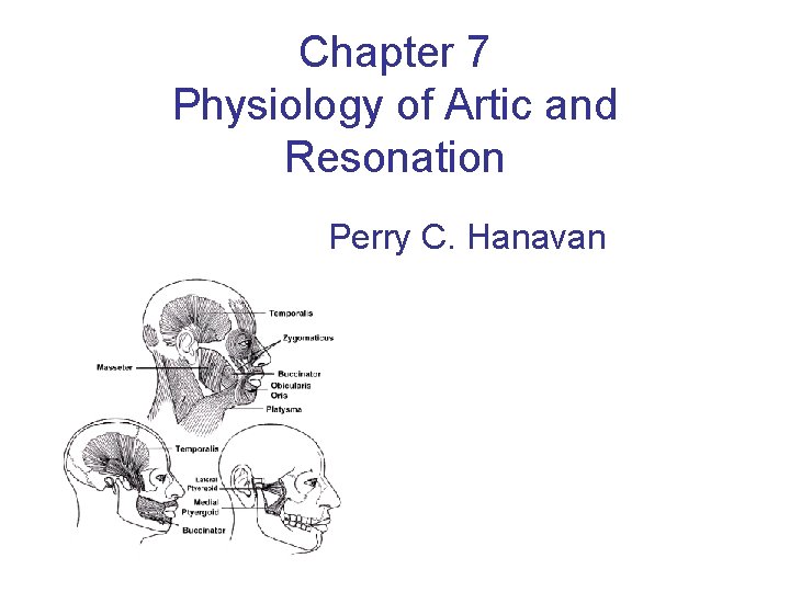 Chapter 7 Physiology of Artic and Resonation Perry C. Hanavan 