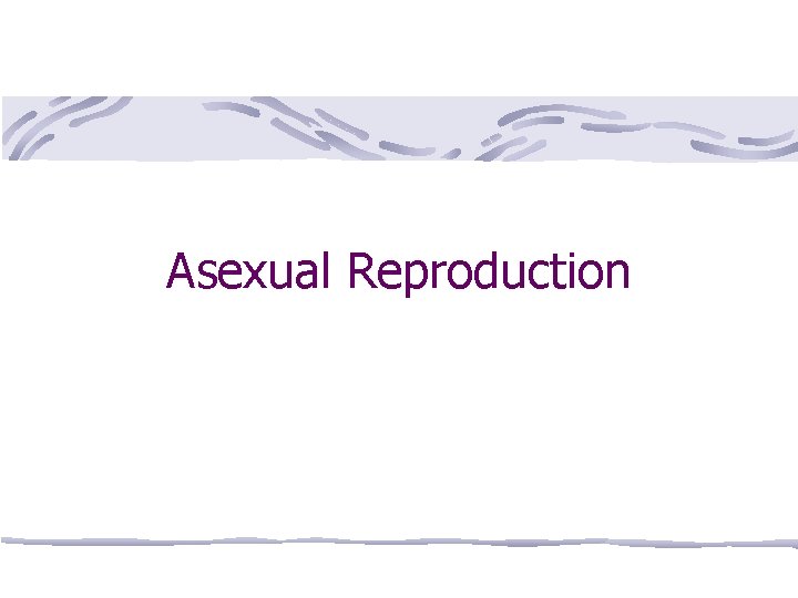 Asexual Reproduction 