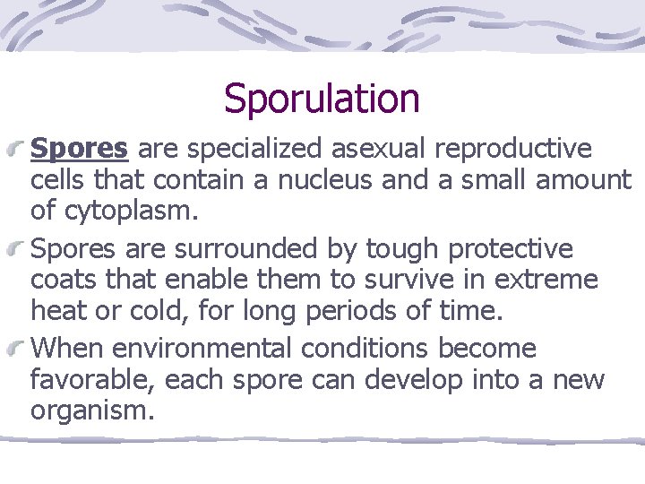 Sporulation Spores are specialized asexual reproductive cells that contain a nucleus and a small