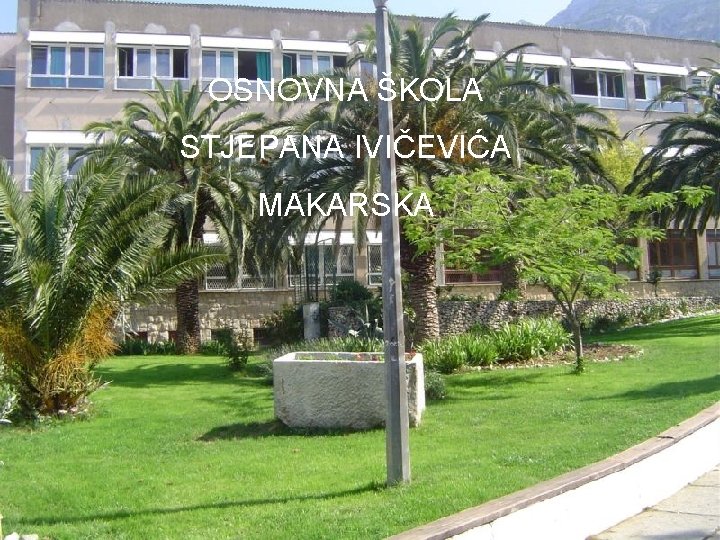 OSNOVNA ŠKOLA STJEPANA IVIČEVIĆA MAKARSKA 