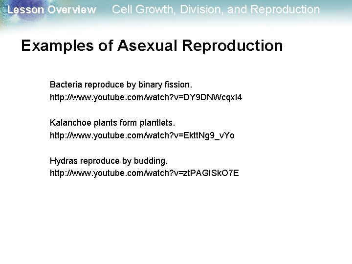 Lesson Overview Cell Growth, Division, and Reproduction Examples of Asexual Reproduction Bacteria reproduce by