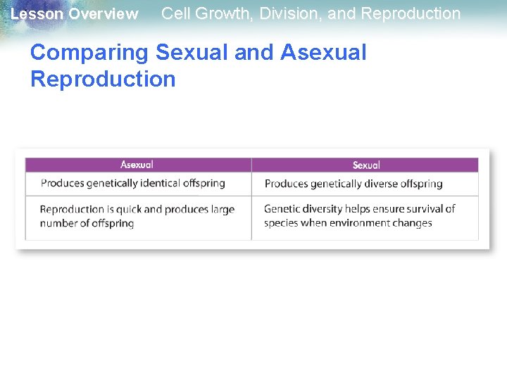 Lesson Overview Cell Growth, Division, and Reproduction Comparing Sexual and Asexual Reproduction 