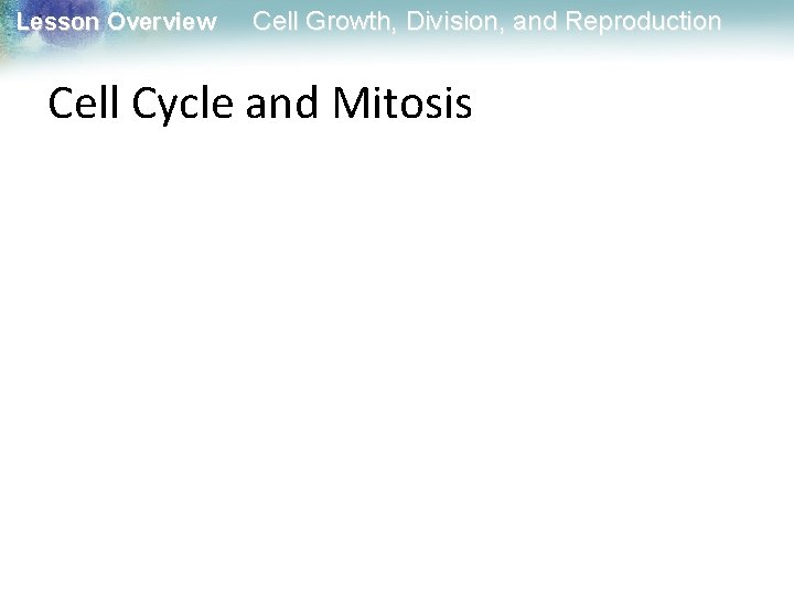 Lesson Overview Cell Growth, Division, and Reproduction Cell Cycle and Mitosis 