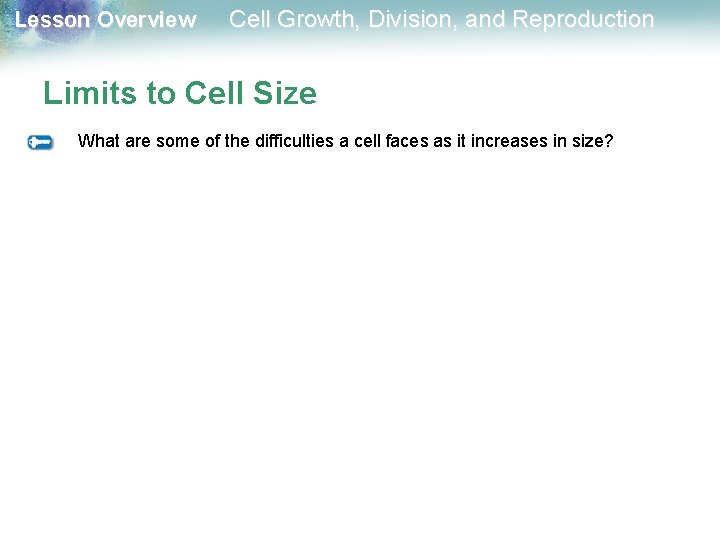 Lesson Overview Cell Growth, Division, and Reproduction Limits to Cell Size What are some