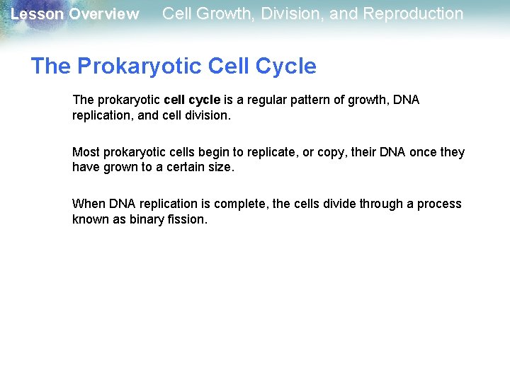 Lesson Overview Cell Growth, Division, and Reproduction The Prokaryotic Cell Cycle The prokaryotic cell