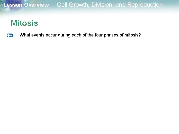 Lesson Overview Cell Growth, Division, and Reproduction Mitosis What events occur during each of