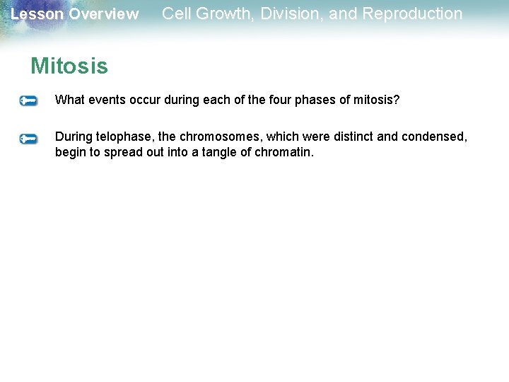 Lesson Overview Cell Growth, Division, and Reproduction Mitosis What events occur during each of